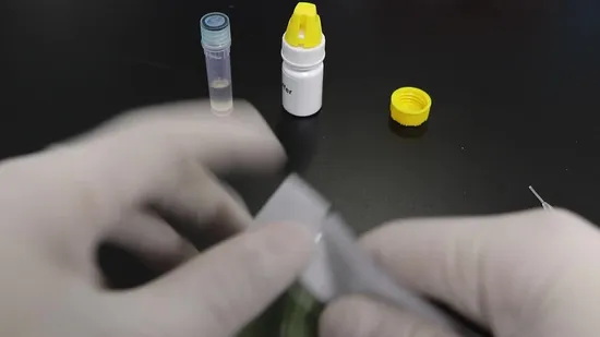 Ana Lyme Ehr Anaplasma Lyme Ehrlichia 항체 콤보 신속 테스트